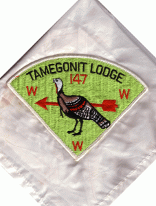 P1 on Silk Neckerchief